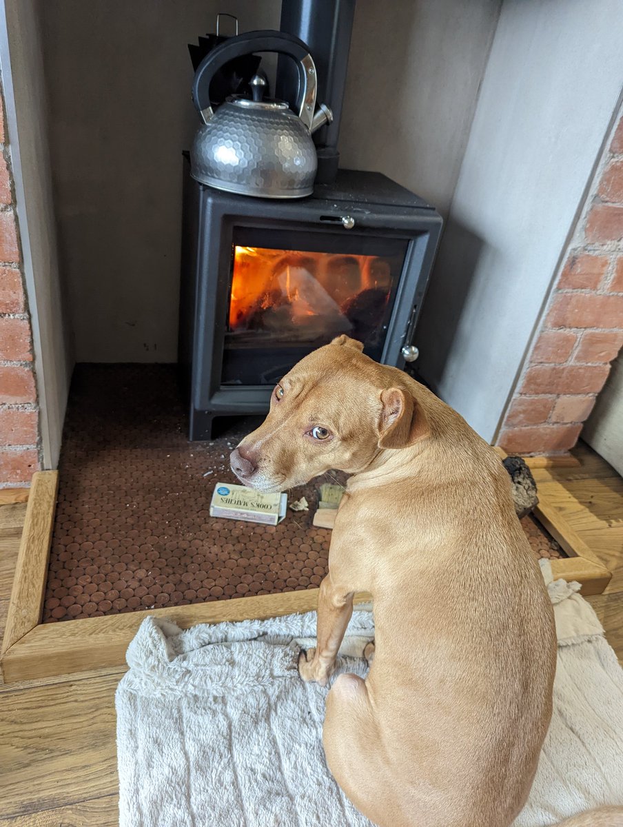 Waiting for the kettle to boil. Working from home winter / electricity saving edition 🥶🔥☕