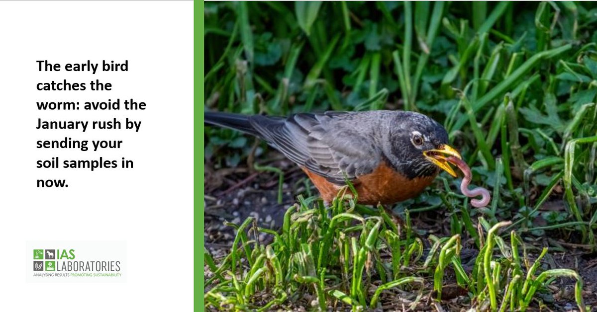 As the weather begins to pick up - it is time to think about your soil Analysis
Get your samples in early this season to ensure your results are back in time for your full Nutrient Management Plan ready especially with fertiliser costs still at high prices
Contact IAS 059 9721022