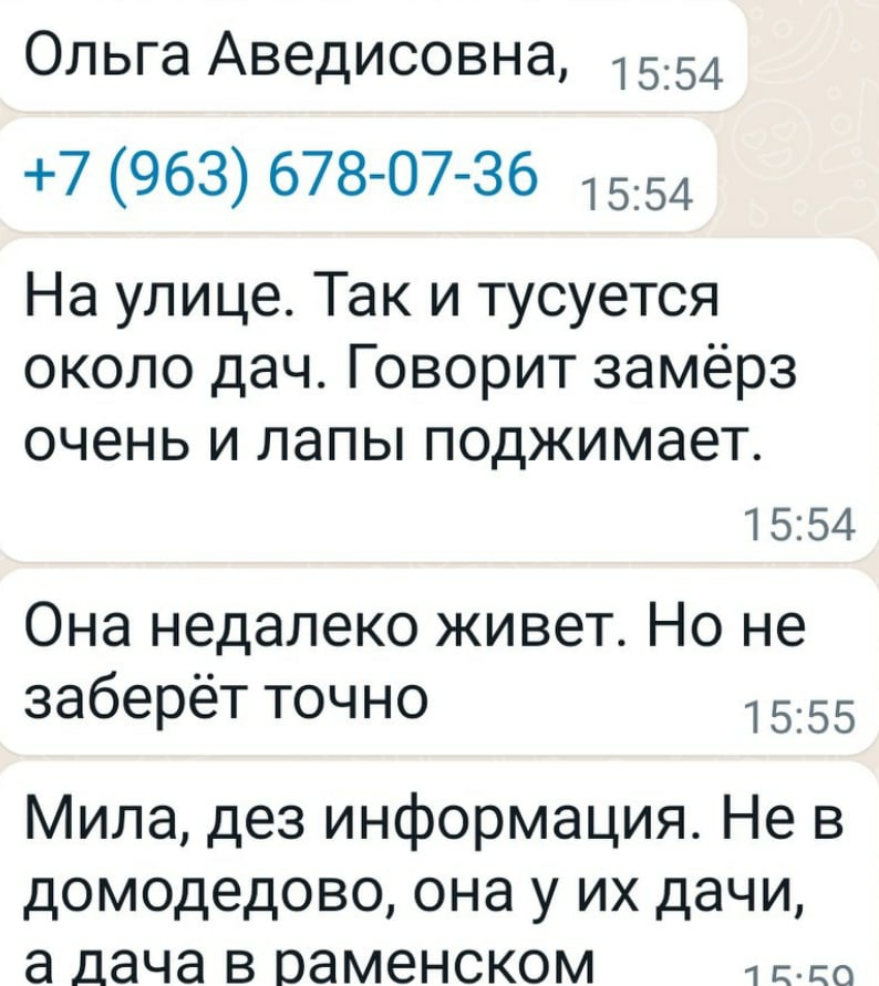 ivpamax's tweet photo. Срочно !!! Московская обл.,Раменское !!! Выкинули домашнего парня😭,замерзает и скулит от безысходности и холода..Я не могу помочь..Если есть у кого силы и возможность ,спасите его🙏😭.Прошу РТ. 
Звонить +7 (963) 678-07-36 Ольга Аведисовна . https://t.co/4evmBkjtz0