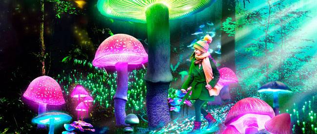 Naturaleza Encendida Origen ✨

Te invitamos a un paseo nocturno lleno de luz por el Real Jardín Botánico de Madrid, en el que la iluminación y la música dan vida a una naturaleza fantasiosa llena de color 💐🎶

Más información: naturalezaencendida.com

#EspañaEsCultura