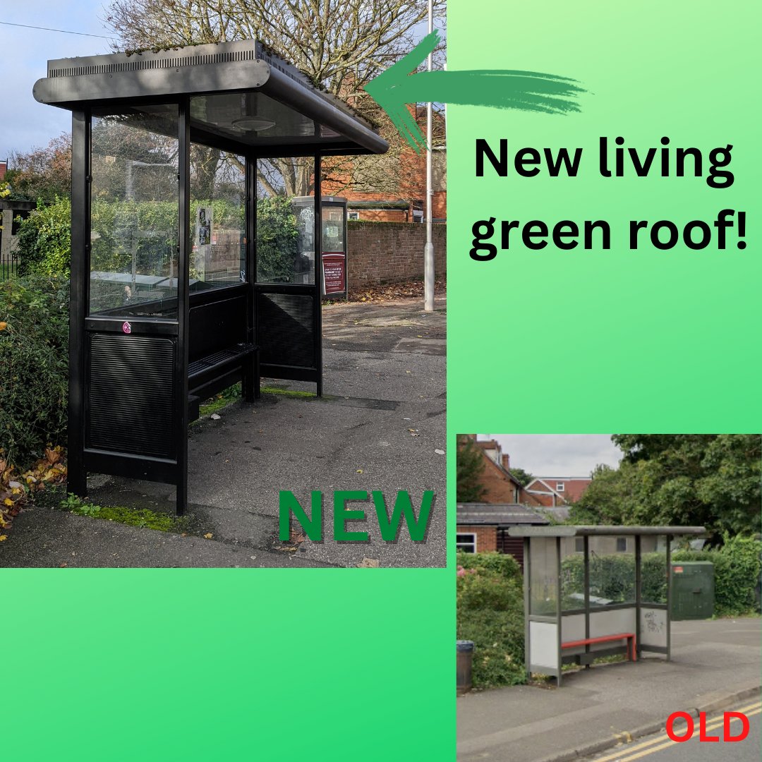 We love the new living bus stop at the top of Redlands Road / Christchurch Green! Fantastic innovation to help local air quality and water absorption @ReadingCouncil. @UniofReading @ReadingUniSU @reading_buses @UniRdg_Library @UniRdg_Student #sustainability #readinguniversity