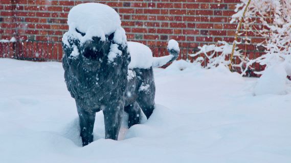 Lakeside School tweet media