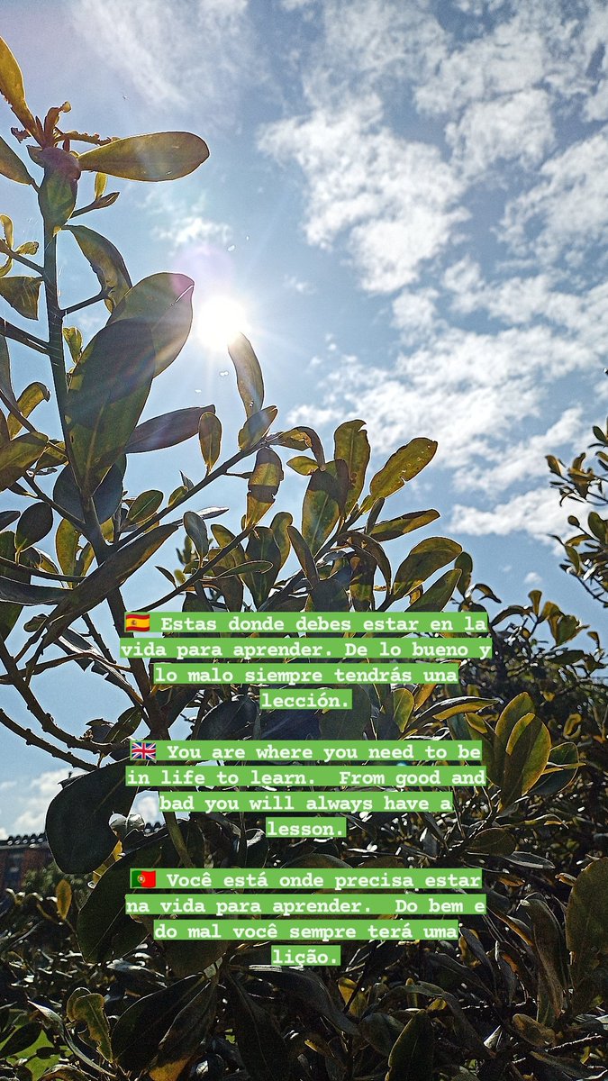 ipqual's tweet photo. 🇪🇸 No es ver lo bueno en todo, es entender que estás ahí por algo.
🇬🇧 It's not seeing the good in everything, it's understanding that you're there for something.
🇵🇹 Não é ver o lado bom de tudo, é entender que você está ali para alguma coisa.
.
.
.
#Motivation #motivacion #Ipqual https://t.co/vh14QuzevC