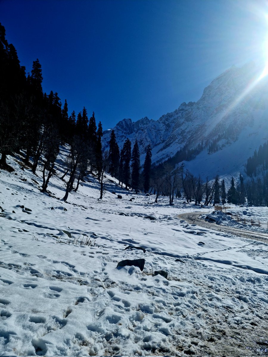 MalluSafvan's tweet photo. Rightly said heaven on Earth Sonmarg Kasmir. https://t.co/HoZsvNsjOj