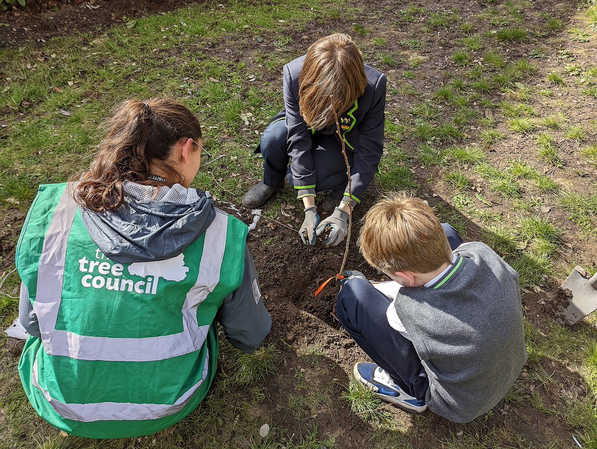 The Tree Council tweet media