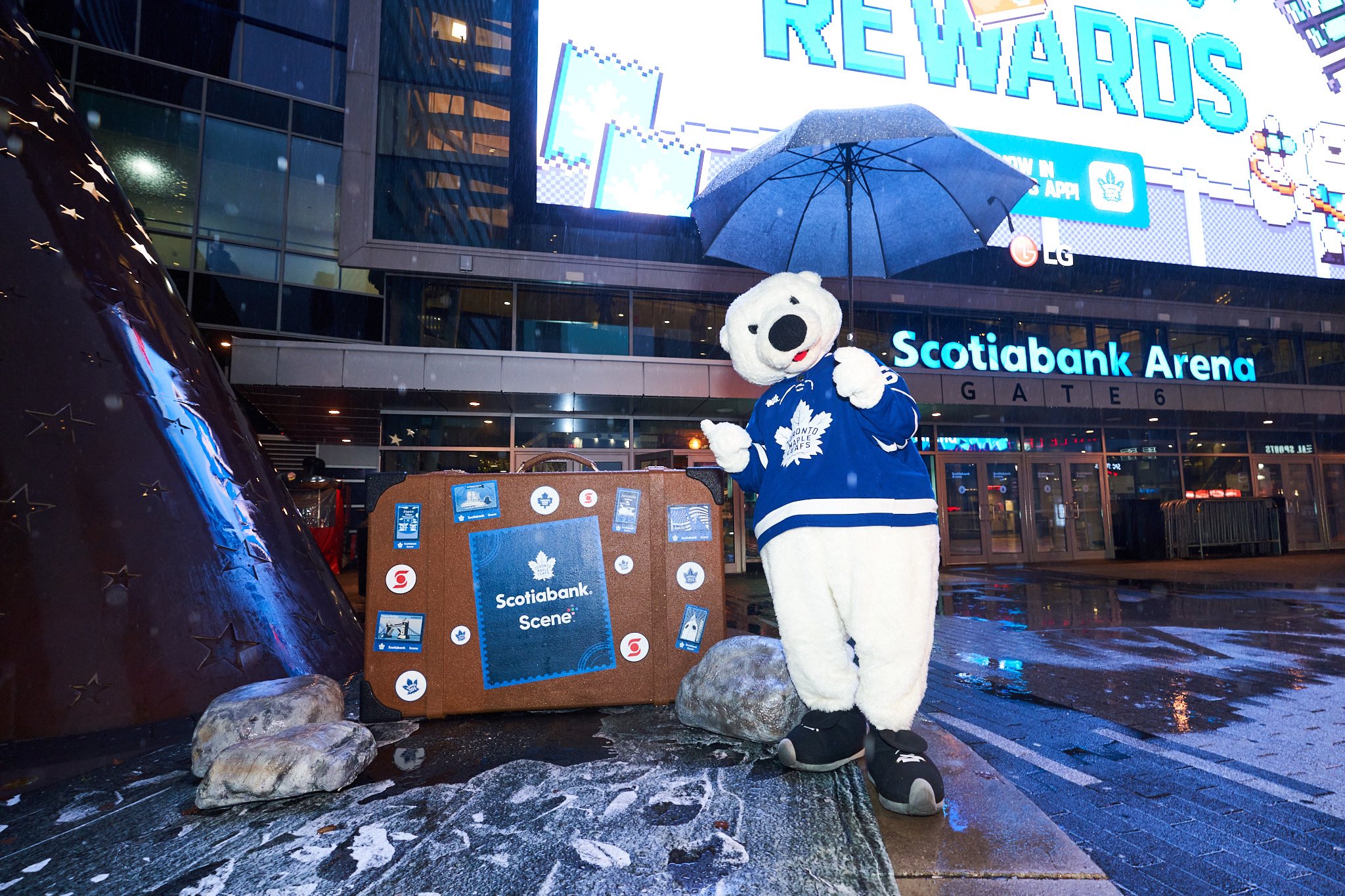 NHL on X: .@MapleLeafs fans, here is YOUR #WinterClassic jersey.   / X