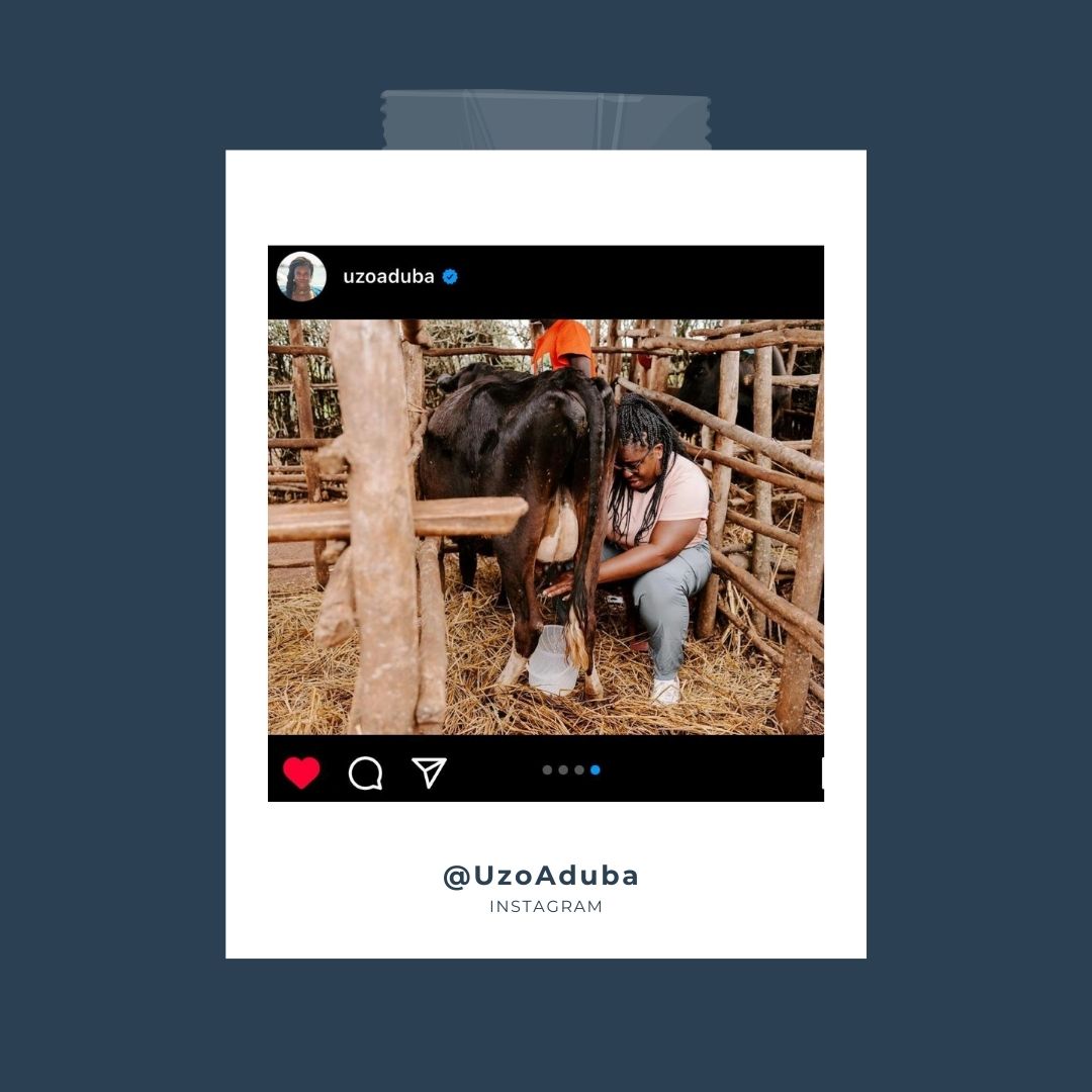 HeiferRwanda's tweet photo. @Heifer's Africa Ambassador @UzoAduba shared her experience visiting #Rwanda and the impact of #HeiferRw's work on #Rwandan communities in her interview with @enews. #RwOT #agriculture 

Read More🔗: https://t.co/pZZz5qHAGU https://t.co/Q2l6c7rHGr