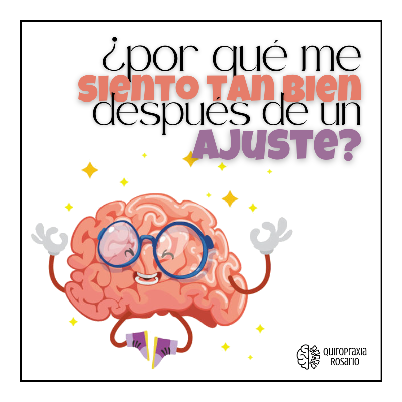 agusquiropraxia's tweet photo. Estás listo para tener un cerebro 🧠 feliz❓
Pasate x IG o FB: #QuiropraxiaRosario y te contamos mas!
📲 3415144022 📩
#quiropraxia #rosario
#quiropráctica #chiropractic #tic
#restaurando #natural #perfección https://t.co/q5QZSgPZxB