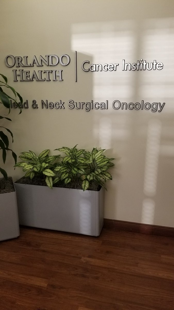 michaeljwhelan tweet media