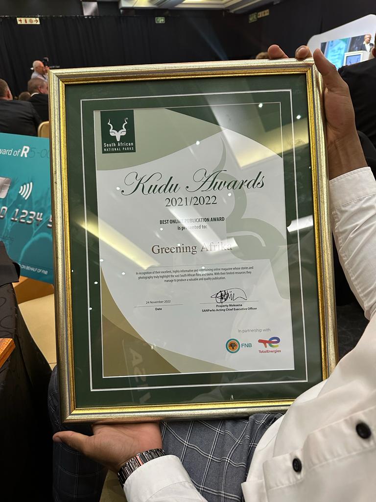 GreeningAfrika 🌍 tweet media