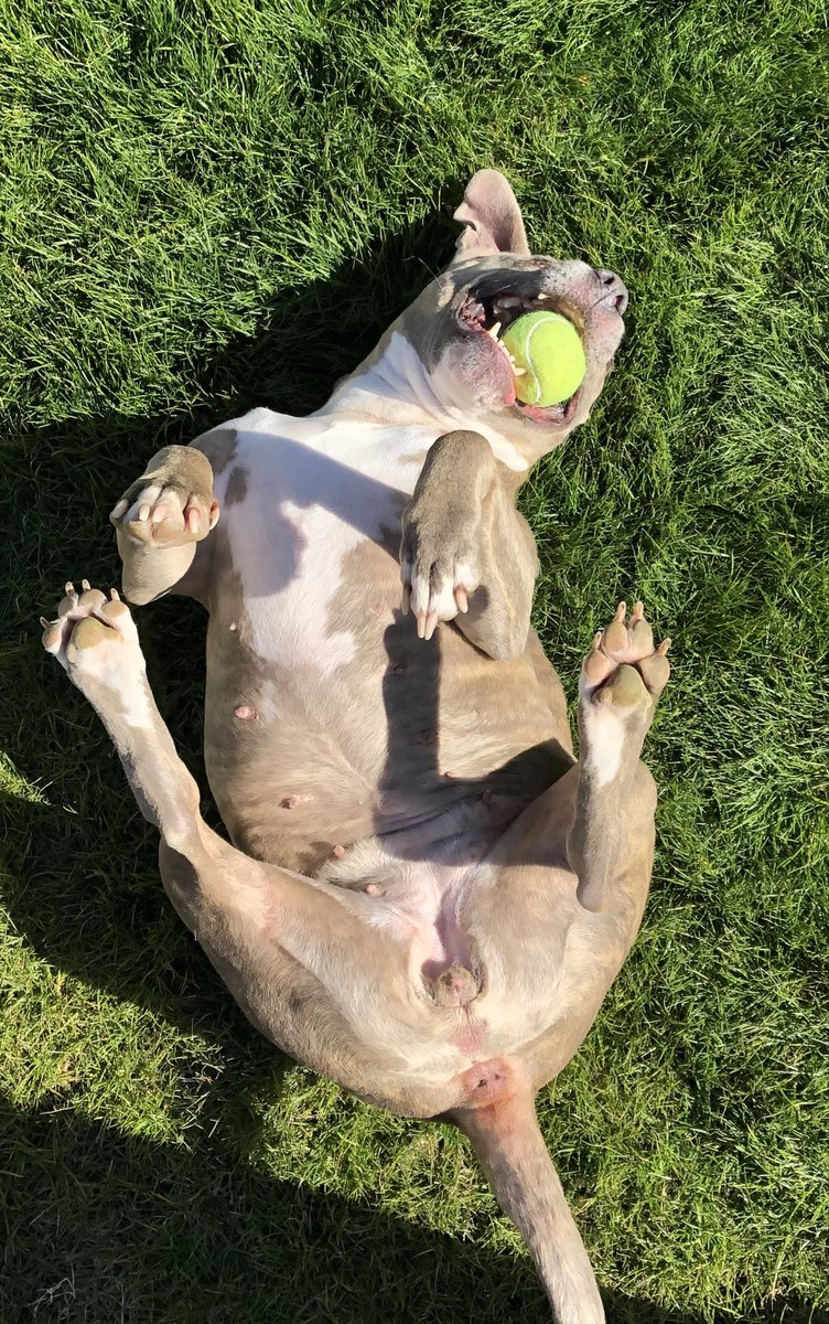 Ron Weaver tweet media