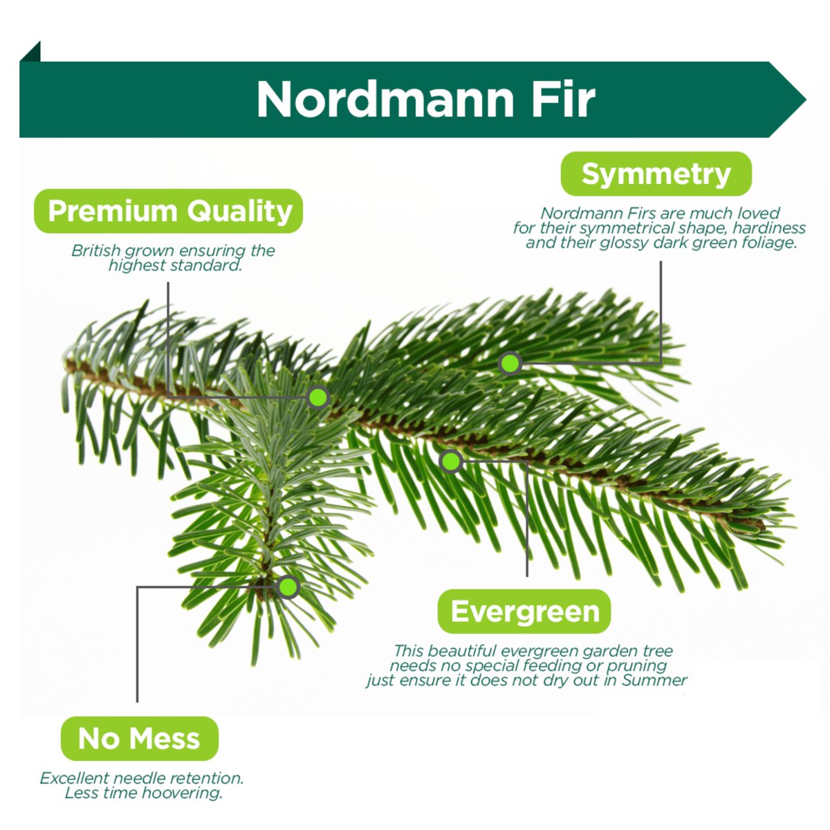 Not ordered your Tree from us yet? Don't worry, there's still a week to go to get your order in for your Premium pet friendly Nordmann Tree, then come along on Saturday 10 Dec with 2 or 4 legged friends and family to pick up your beauty register.enthuse.com/ps/event/Chris…