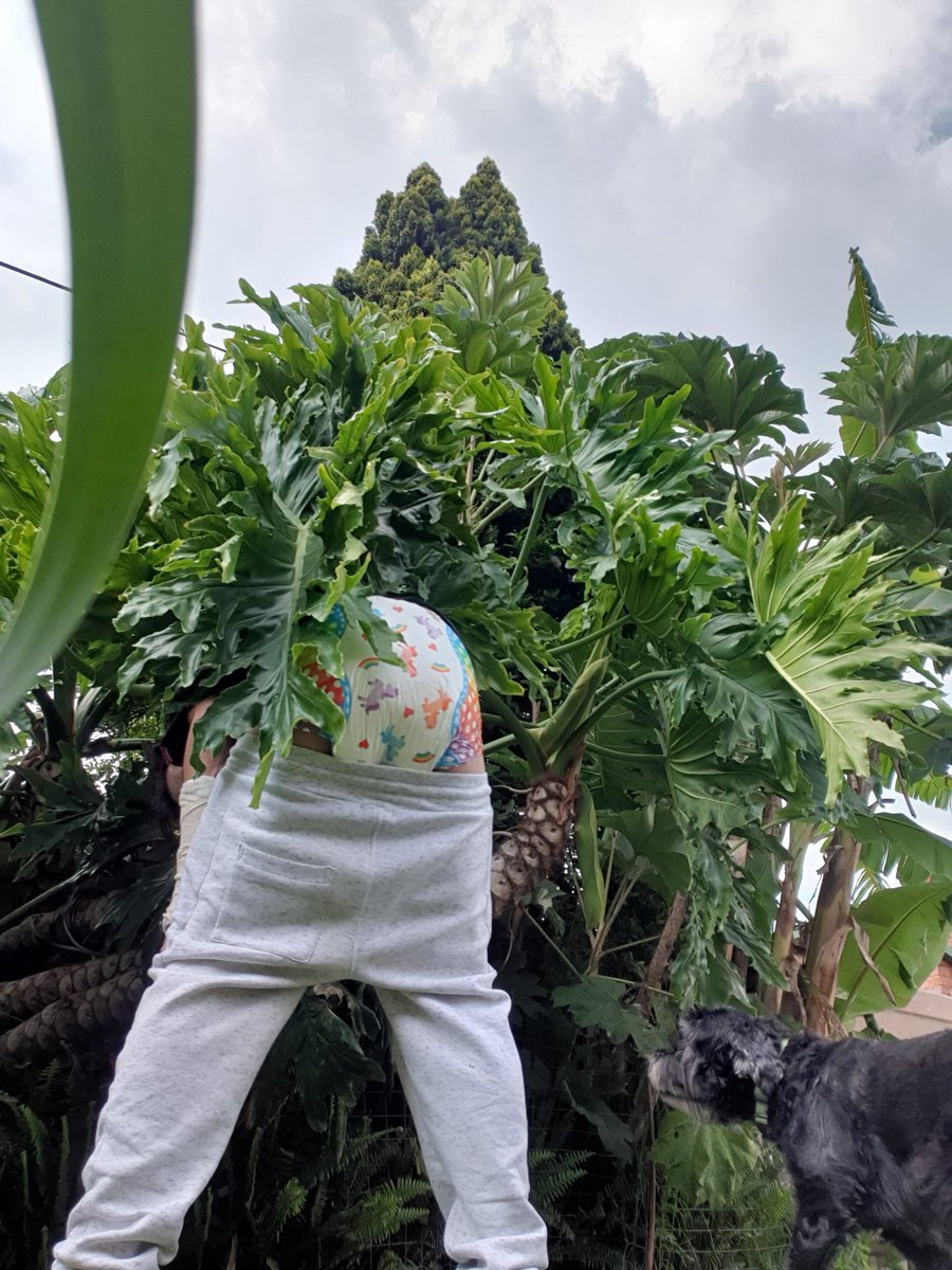 You guys ever just chilling... but then u thought u heard a cat 👀