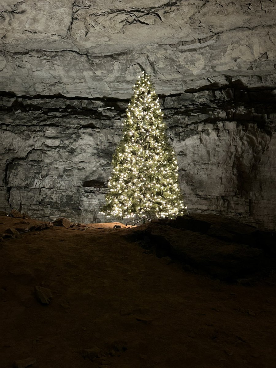 MammothCaveNP's tweet photo. It's Beginning to Look a Lot Like Christmas….. https://t.co/TPk0yCLzo8