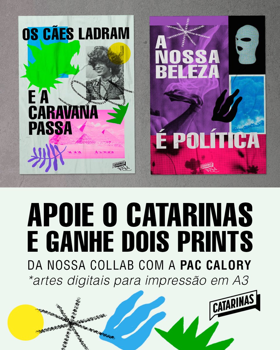 Portal Catarinas tweet media