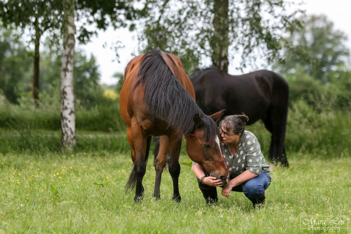Je kunt pas echt gelukkig zijn als je dankbaar bent voor alle problemen die je niet hebt. 
Waar ben jij dankbaar voor? 

#omdenken #mindset #paardencoaching #dankbaar