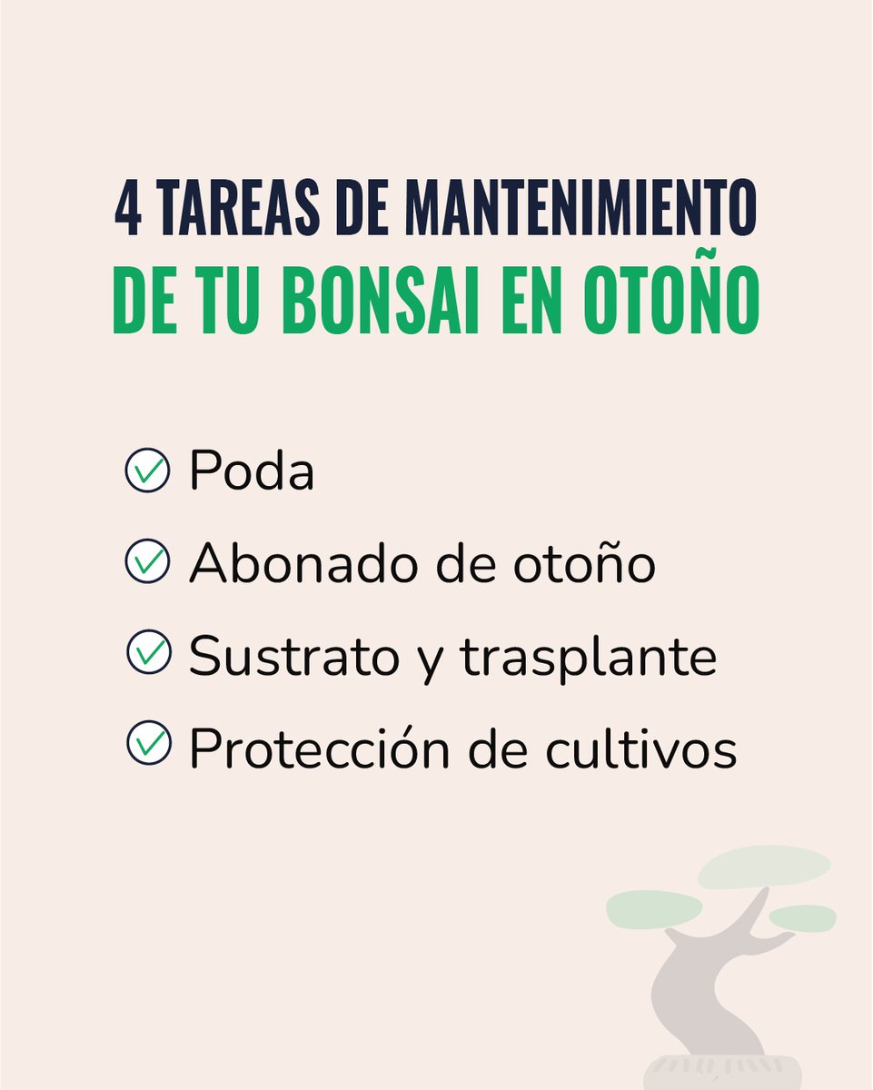 ¡Hola amantes de los bonsáis! Coger las herramientas en mano ya mismo que el otoño es clave para un perfecto mantenimiento de estos arbolitos 💪🏼

somosplanetahuerto.com/3OAosWB

Esta navidad, cultiva amor, vida y alegría 💚