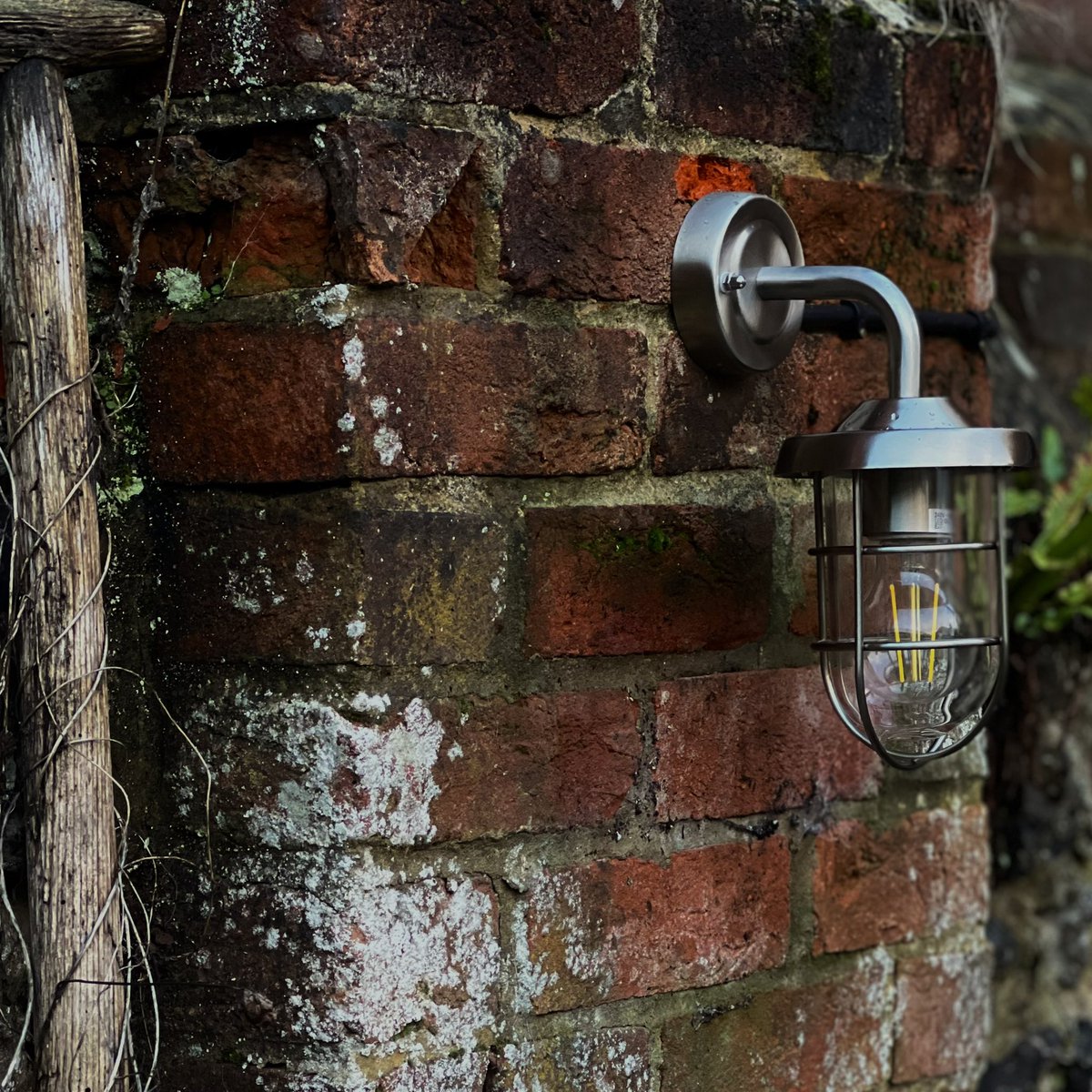 HoganElec's tweet photo. Outdoor Lighting and Socket Replacements 🌲💡 https://t.co/Y6TgkDZEki