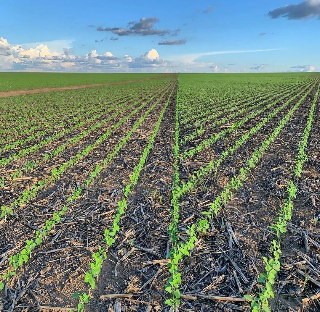 AkezaGermaine's tweet image. If you're interested in modern farming, 
Like and retweet