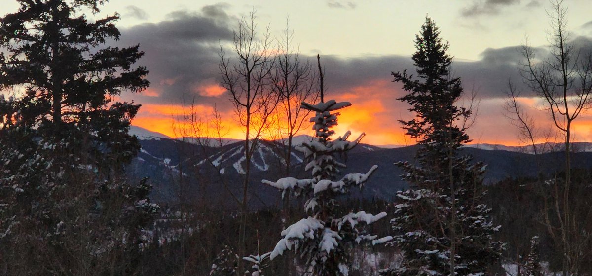 Naomi McMahon tweet media