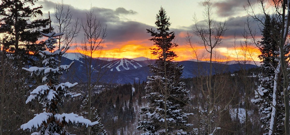 Naomi McMahon tweet media