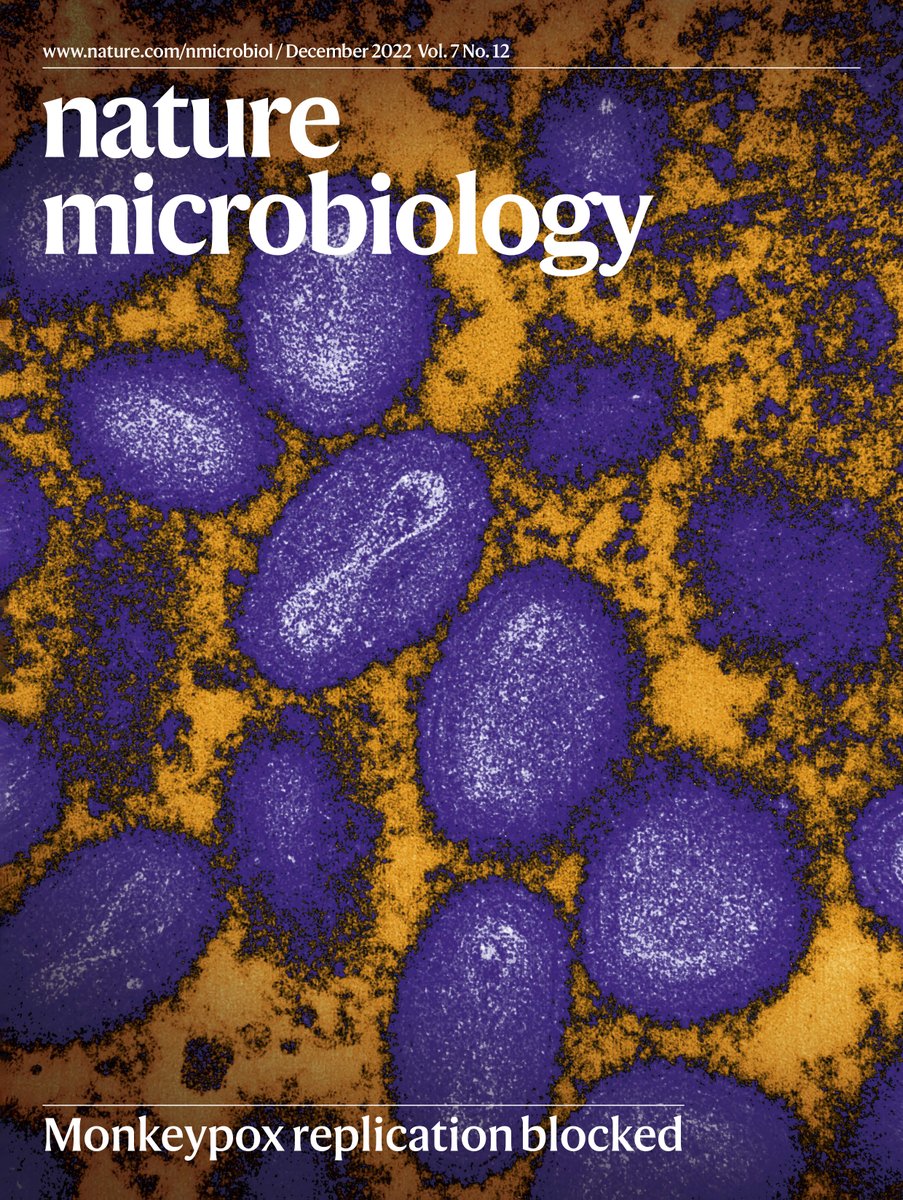 NatureMicrobiol's tweet photo. Our December issue is now live! Read all this &amp; more…

🛑Blocking mpox replication
🧬Phage engineering
🦌Deer-to-human SARS-CoV-2
🌍Earth microbiome multi-omics
🍄Fungal siderophores and Salmonella

https://t.co/7R1kVLhauu https://t.co/gm0Lpy1Zwu
