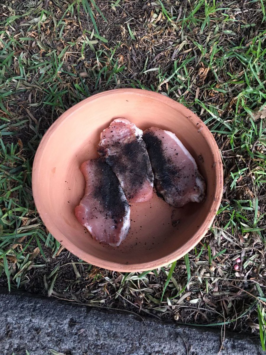 ACHEcolonos's tweet photo. ⚠️⚠️ Alerta a TODOS: alguien está tratando de envenenar a nuestros perros. Si caminando por la colonia ves un plato con comida en la banqueta, por favor retirar y tirar a la basura. Estar atentos y reportar  si ven a alguien dejando esto. Gracias. .@HuixquiGob https://t.co/Tl0sTU77Wd