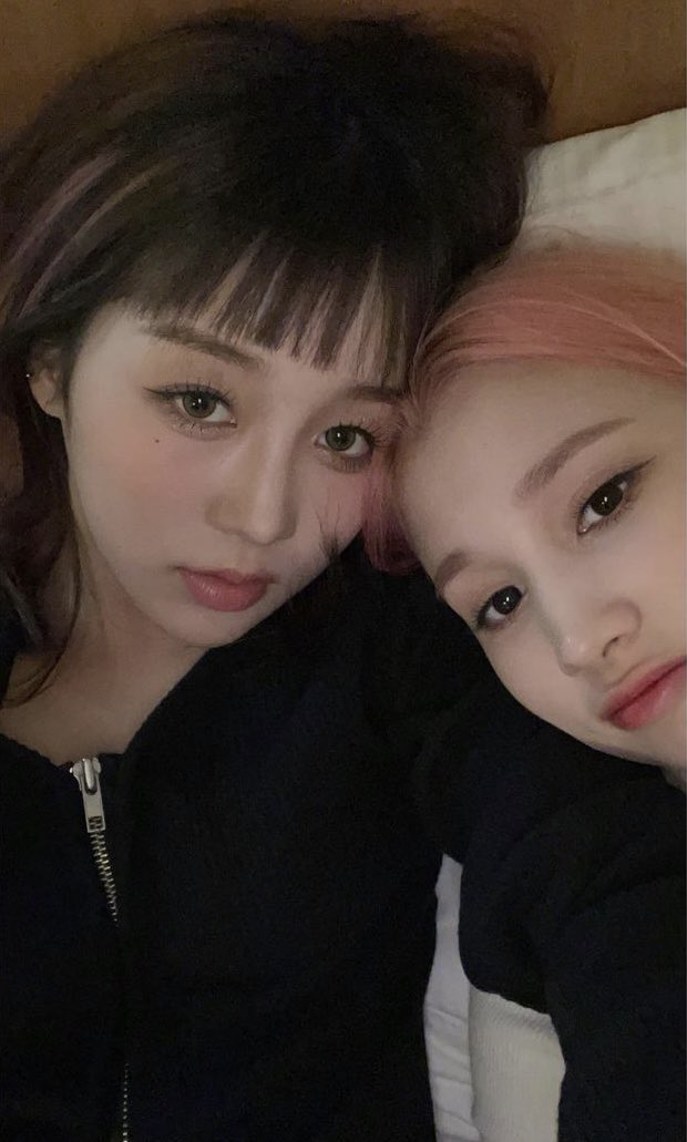 BAH1KARU's tweet photo. they’re so cute https://t.co/N9JQEohvnB