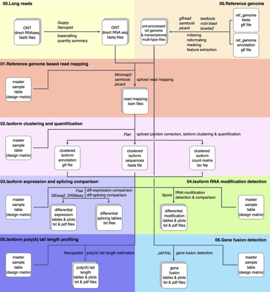 antisense. tweet media