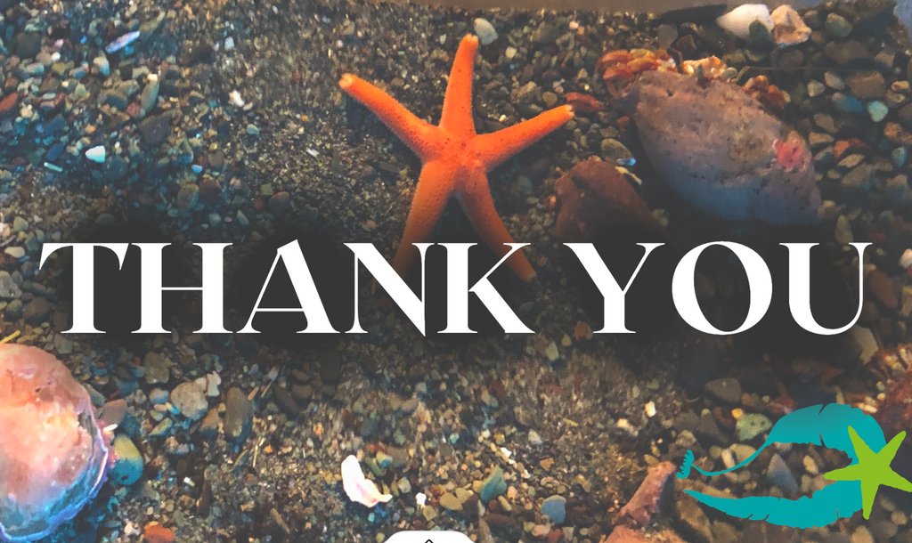 The Mini Aquarium is sending a big thank you to everyone who showed their support for Giving Tuesday yesterday, we are beyond appreciative of each and every one of you!