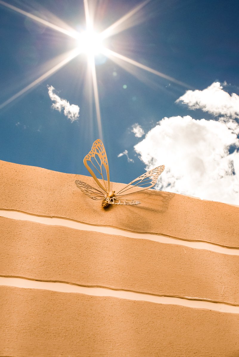 Did you know that butterflies can see colors that we cannot? This is because they can perceive ultraviolet light… 

At Terra Solis, we embrace the 🦋 and ☀️ together. 

Join us from December 5th onwards. Pool and overnight bookings terrasolisdubai.com