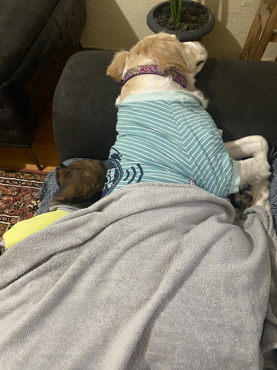 Güzel bi duş modumusu yagaladık 😴💤