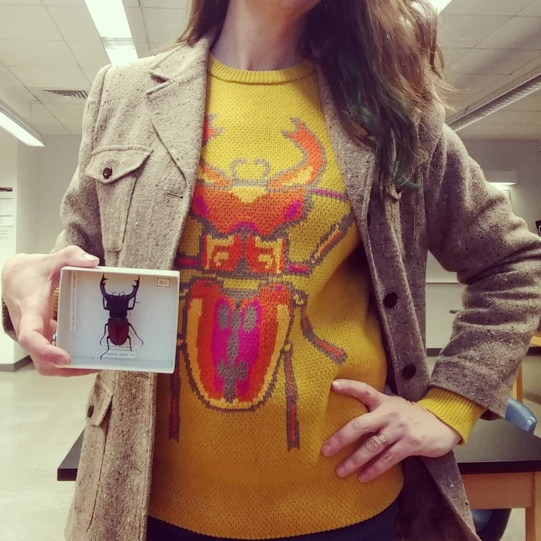 TBrosuis's tweet photo. Go bold! Go beetles! 
Purchased from https://t.co/Uk1JJuG45G Winter 2021 https://t.co/FGNRy7what