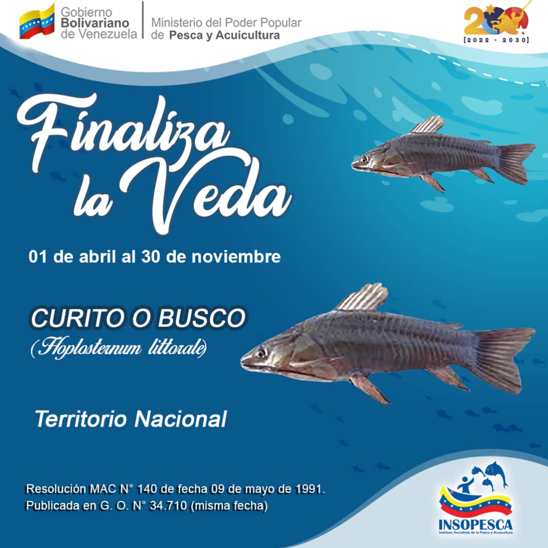 JorgeTajan3's tweet photo. #ATENCION 📢 La veda del #Curito 🐟 finaliza este 30 de noviembre en el territorio nacional.
Seamos garantes de la conservación y protección de nuestras especies. https://t.co/s6udKJwqW8