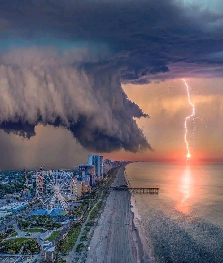 babsi1215572's tweet image. Myrtle Beach in South California
Wow🥰