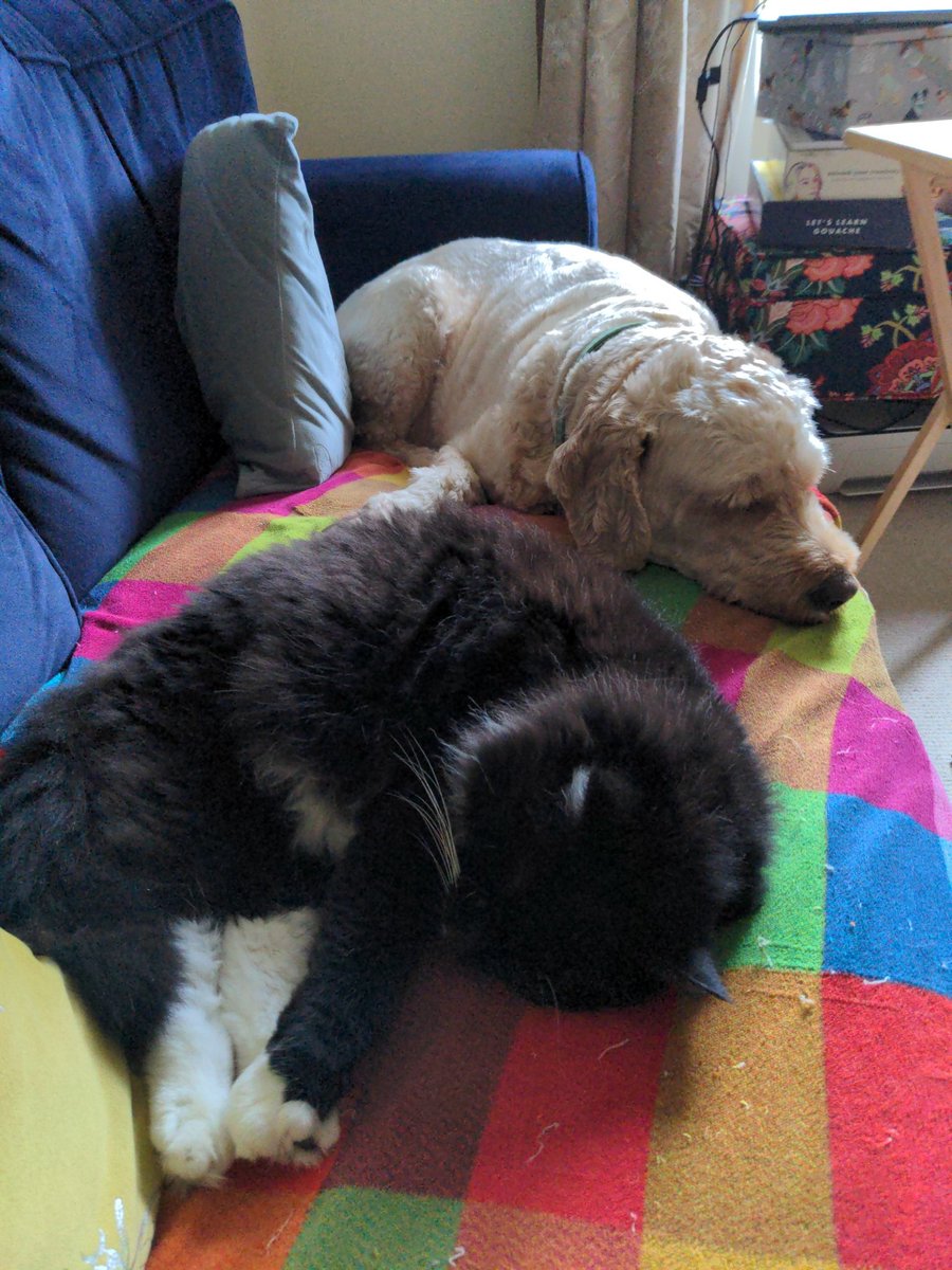 TestingChef's tweet image. I usually sit on the sofa to work, but...