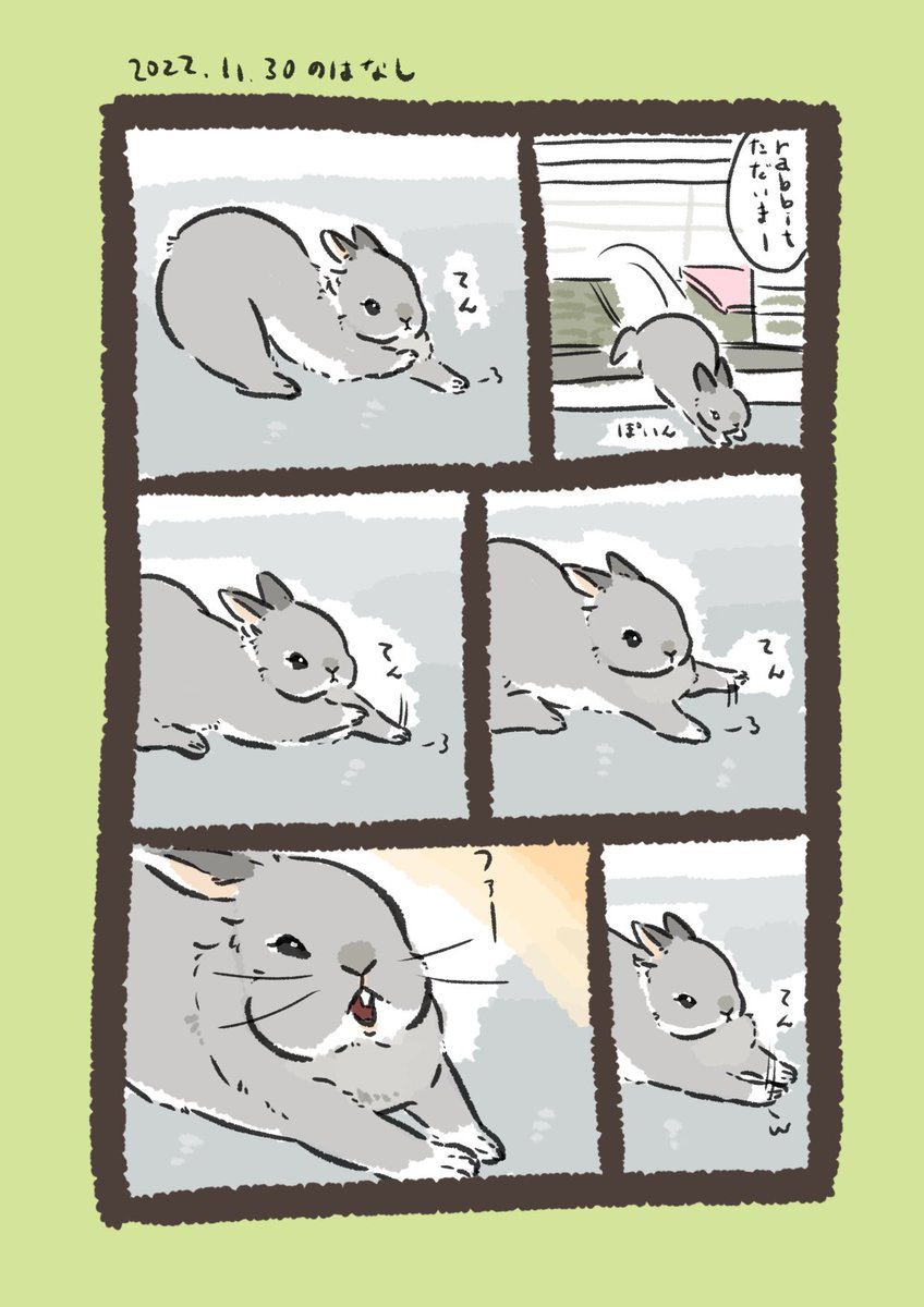 おてての位置にこだわりのあるrabbit…とこだわりのなさすぎたhuman…
#うさぎのいる生活 