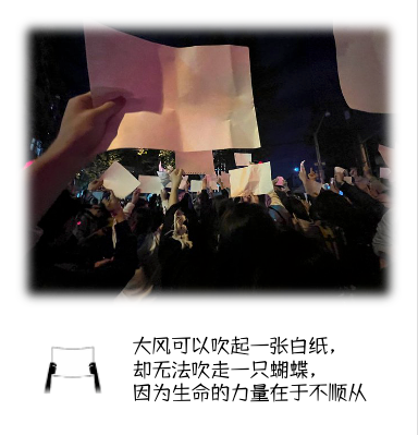 Tupia1968's tweet photo. https://t.co/tFgutY9eFH