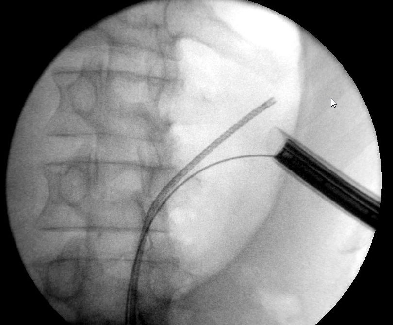 Leye Ajayi tweet media