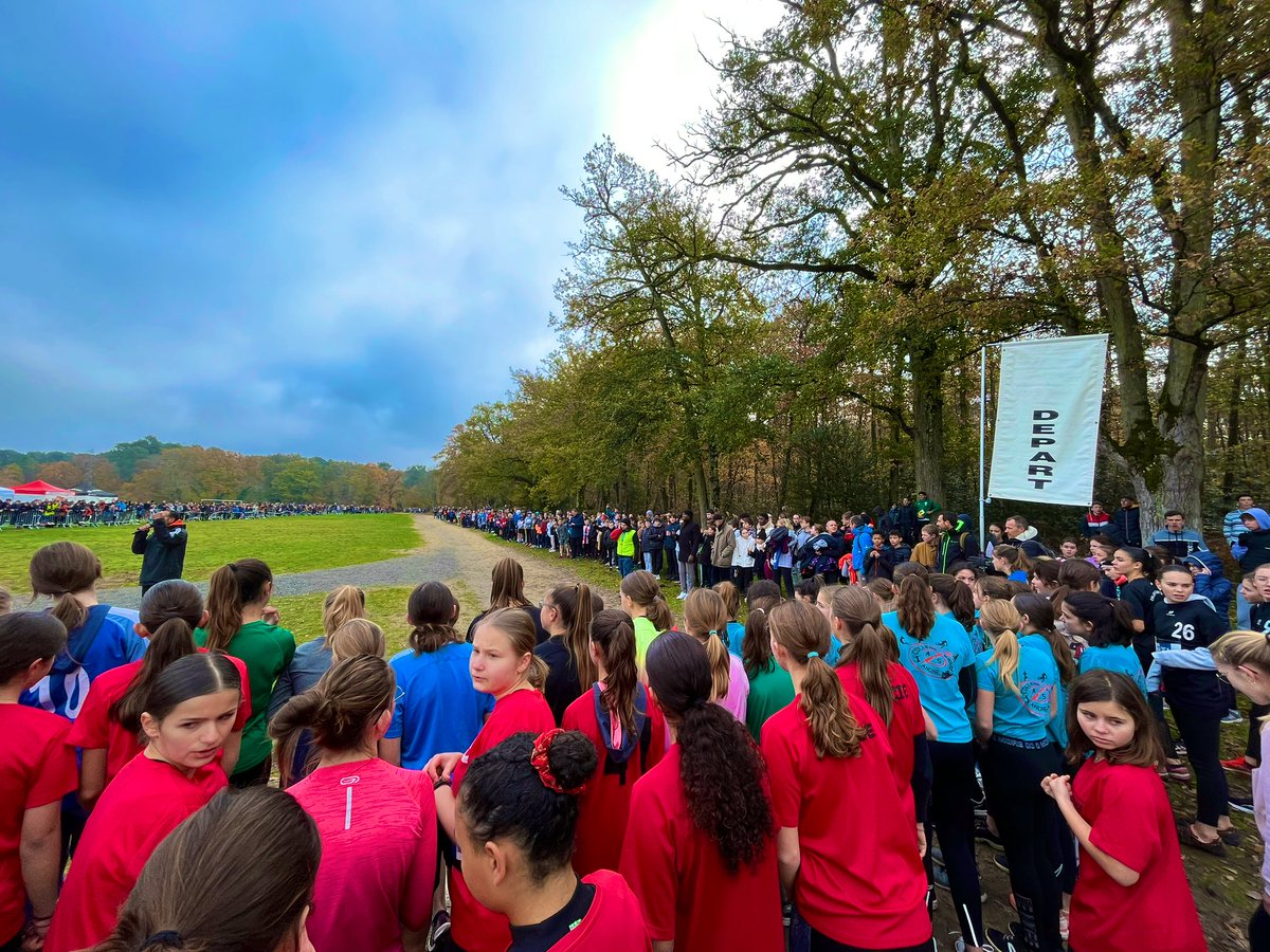 Christophe Luczak tweet media