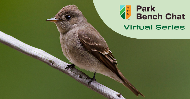 tpl_org's tweet photo. Join ornithology and birding experts @AlvaroAdventure @hood_naturalist @KimmKaufman on 12/7 for our next Park Bench Chat, a conversation about safeguarding the future of birds and birders as well as creating a more inclusive birding community for all. https://t.co/usbUkOytam https://t.co/90nVuUpAxy