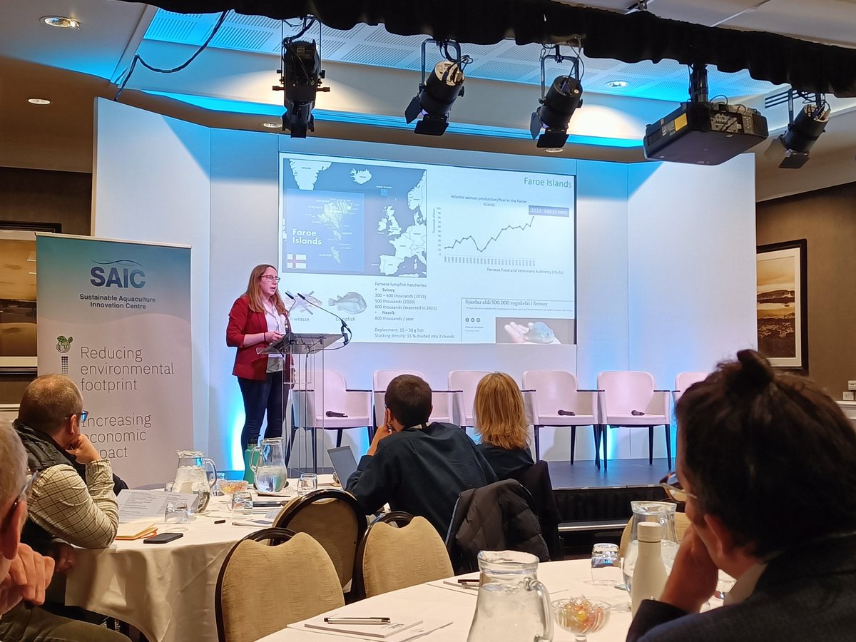 Monica B Betancor 🇮🇨 tweet media