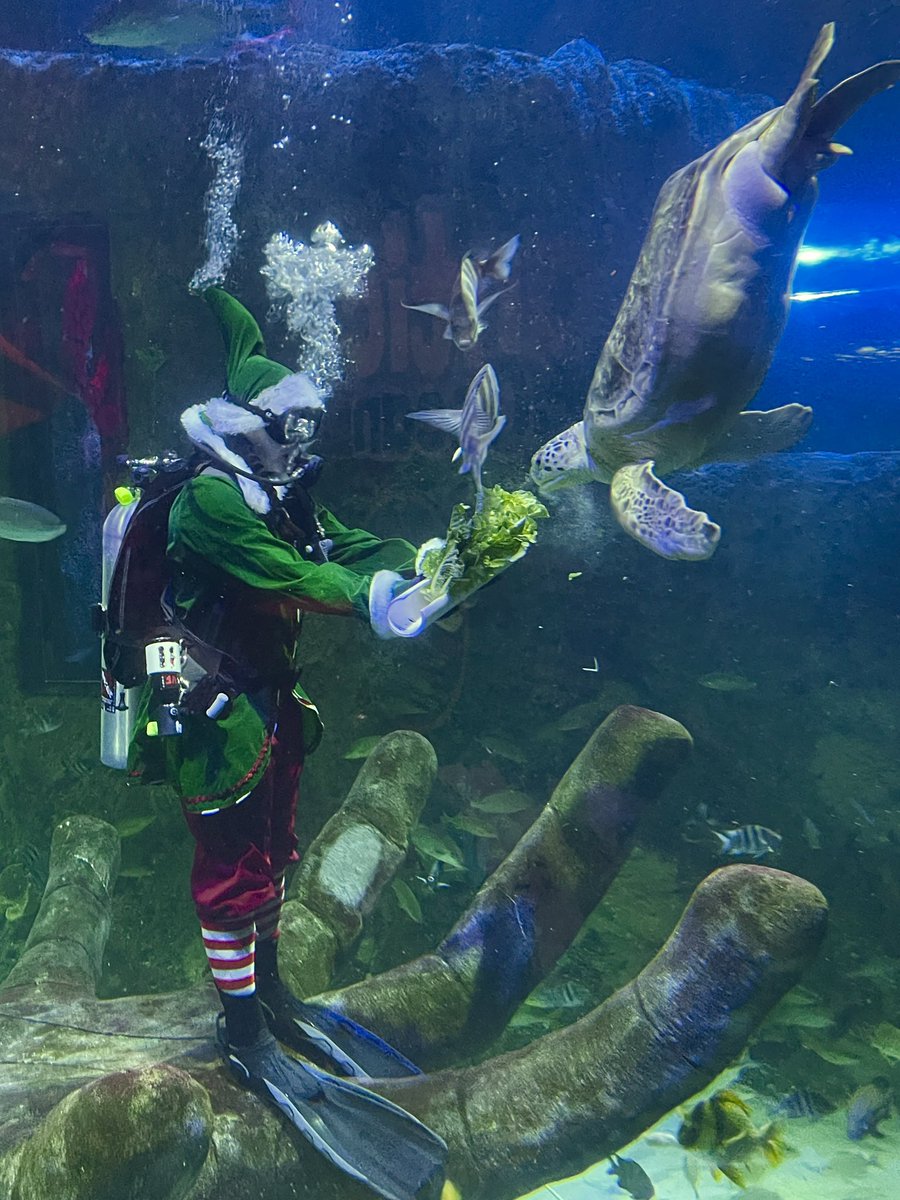 David Martin tweet media