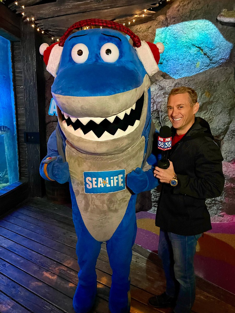 David Martin tweet media