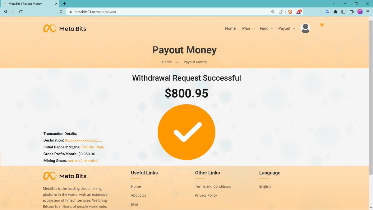 Metabits (Miner) ⛏️💰 tweet media
