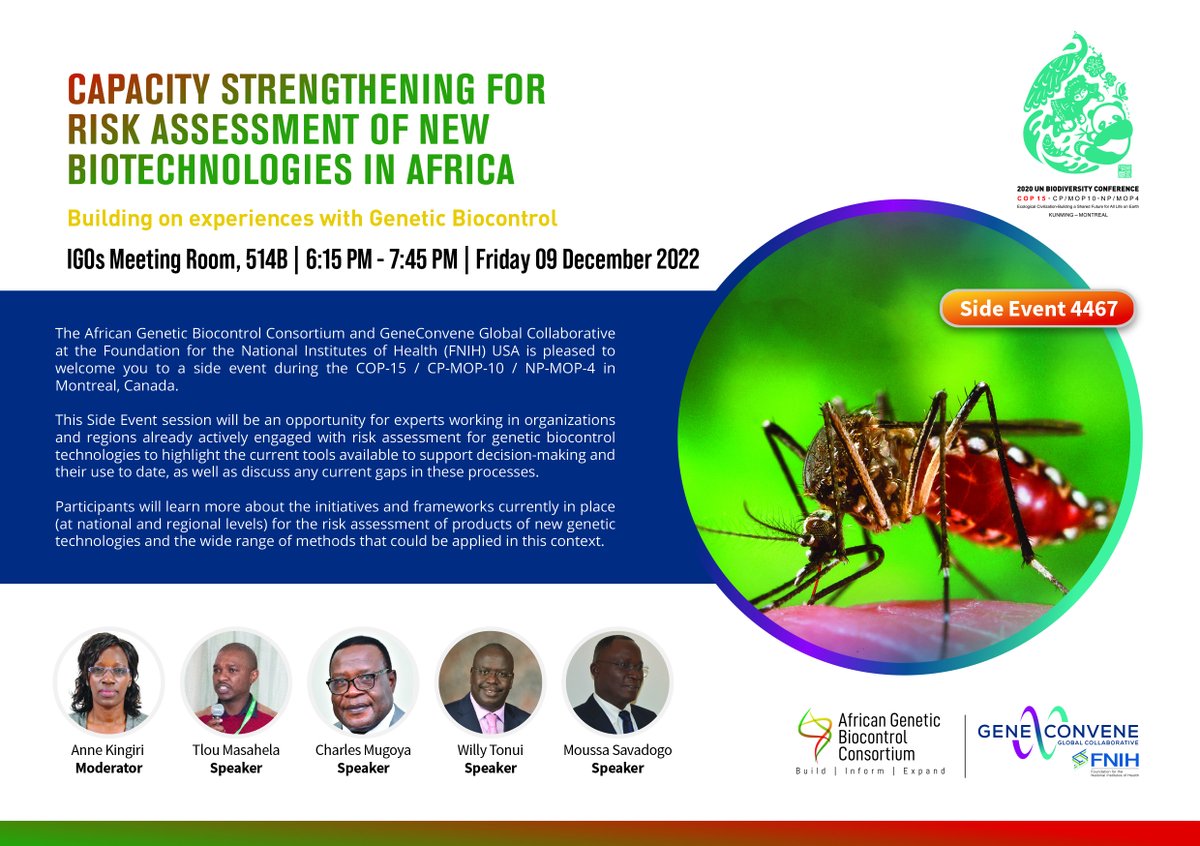 GeneConvene (@gene_convene) on Twitter photo Tomorrow: Our #COP15 panel on risk assessment for genetic biocontrol tech, moderated by <a href="/ACTSNET/">ACTS</a>'s Anne Kingiri w/ speakers @Mora_Ecology's Tlou Masehela, <a href="/TargetMalaria/">Target Malaria</a>'s Charles Mugoya, <a href="/AfricaGeneBio/">African Genetic Biocontrol Consortium</a>'s @DrWIllyKTonui, & <a href="/NEPAD_Agency/">AUDA-NEPAD</a>'s Moussa Savadogo bit.ly/3i7YIEP Tomorrow: Our #COP15 panel on risk assessment for genetic biocontrol tech, moderated by <a href="/ACTSNET/">ACTS</a>'s Anne Kingiri w/ speakers @Mora_Ecology's Tlou Masehela, <a href="/TargetMalaria/">Target Malaria</a>'s Charles Mugoya, <a href="/AfricaGeneBio/">African Genetic Biocontrol Consortium</a>'s @DrWIllyKTonui, & <a href="/NEPAD_Agency/">AUDA-NEPAD</a>'s Moussa Savadogo bit.ly/3i7YIEP