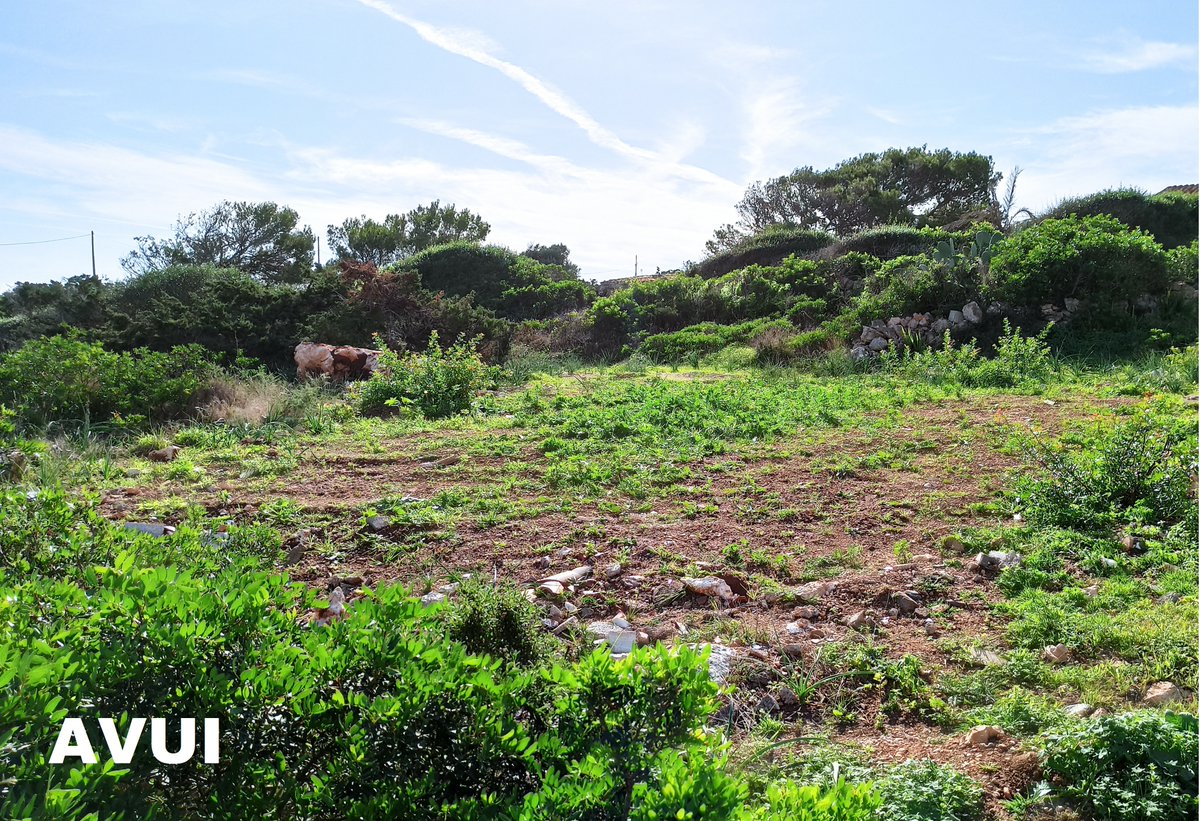 L'ACTIVITAT DE L'AGÈNCIA HA PROVOCAT LA DEMOLICIÓ RECENT DE 2 HABITATGES IL·LEGALS EN EL PARC NATURAL DE MONDRAGÓ.
Es tracta d'una de les demolicions més voluminoses de la història de l'Agència.
Segueix el fil 👇
