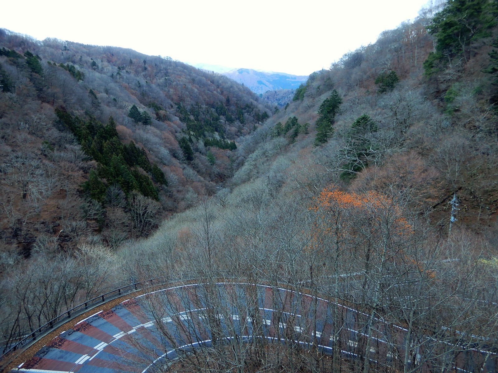 On Twitter on-twitter