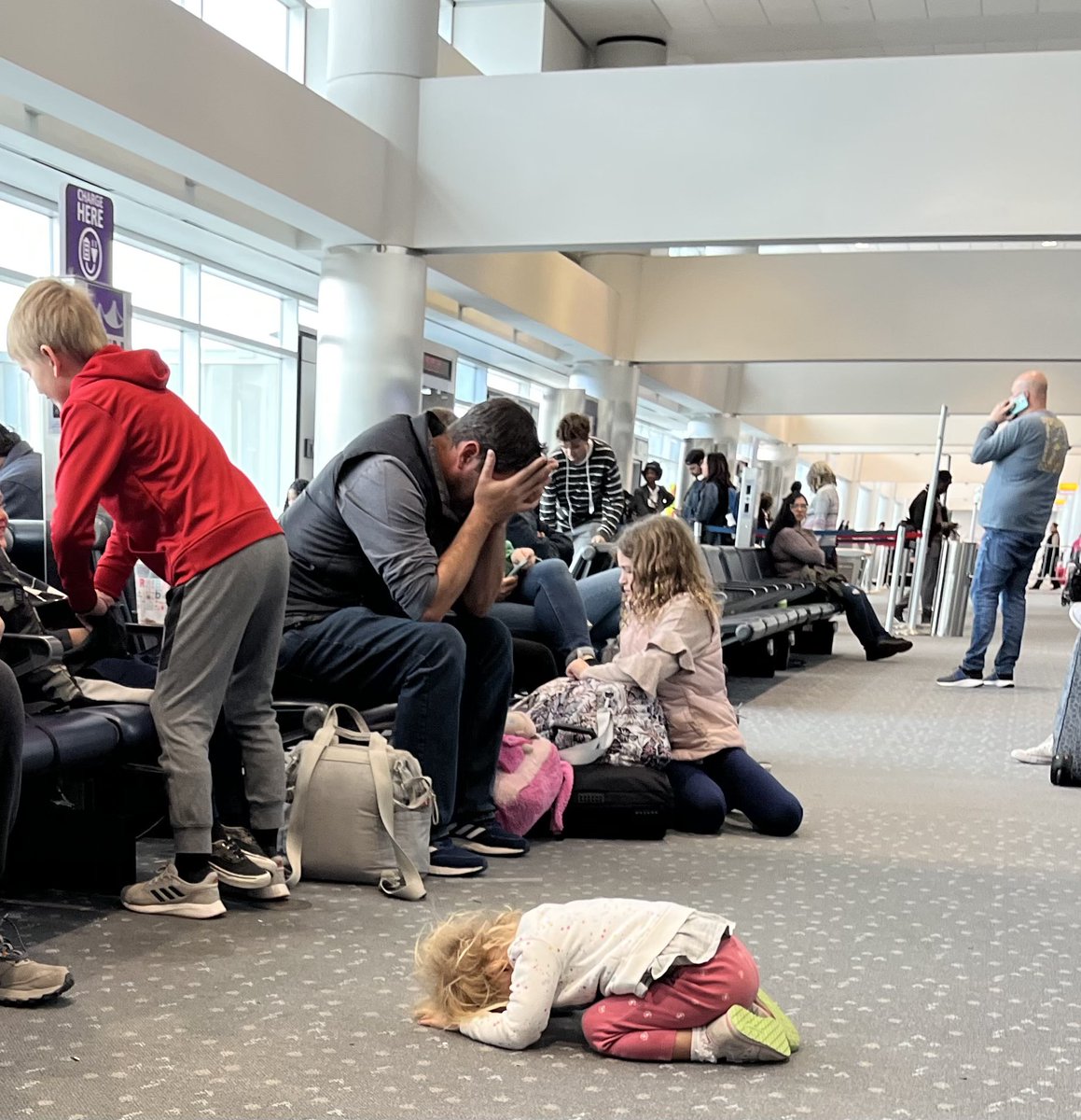 OhSheilaRN's tweet photo. Literally everyone flying @FlyFrontier when they realized they no longer have a customer support phone number and the APP chat doesn’t work. @SecretaryPete please help!!! I am still missing all of my luggage and I can’t get anywhere via app or email or online complaint form. 😫 https://t.co/JlbFZfJRbr