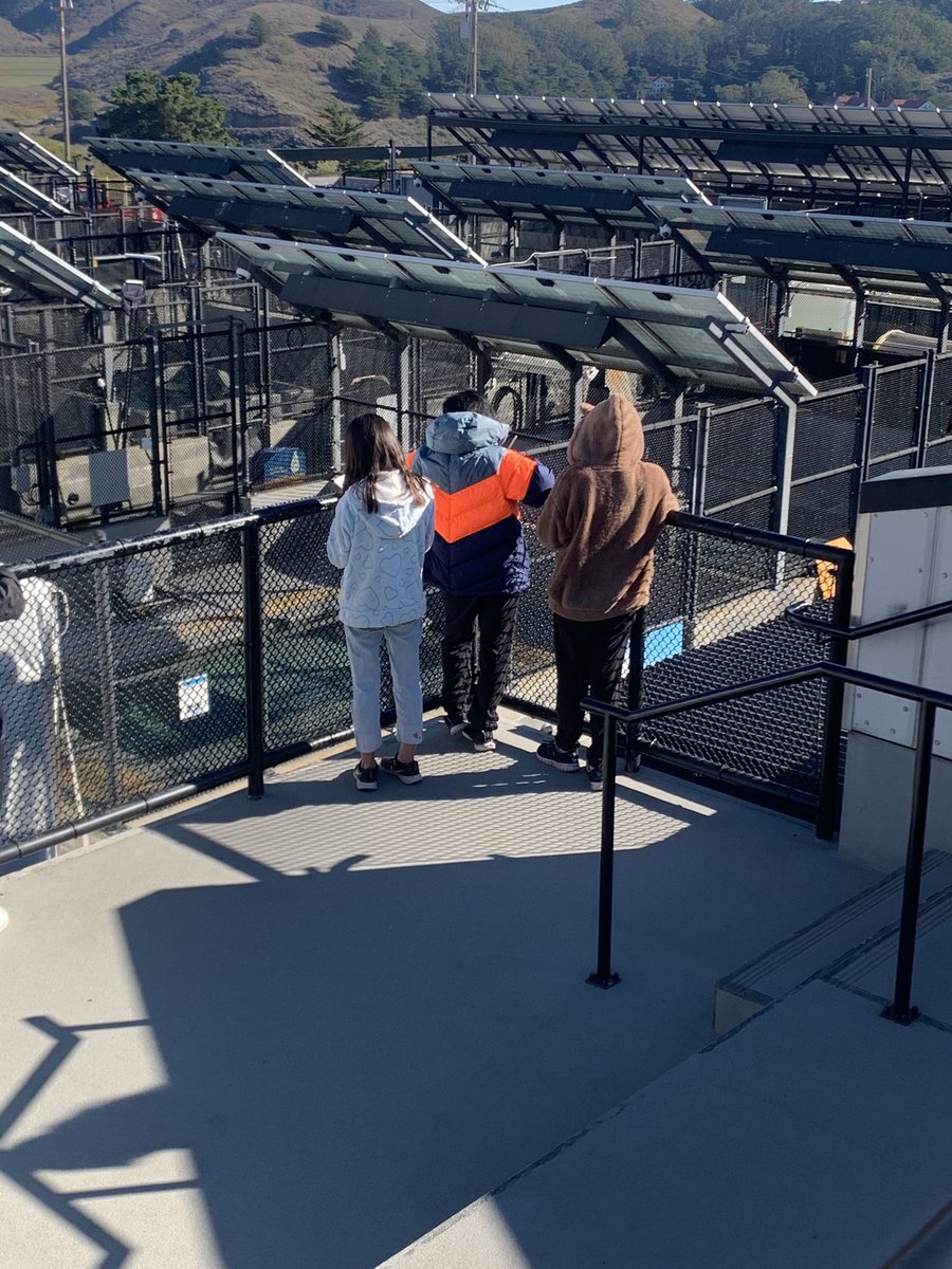 maslen_ian's tweet photo. A small fraction of the students from @MtDiabloUSD will visit the Marine Mammal Center @TMMC this week thanks in no small part to public donations. The kids loved the experience and learned so much. https://t.co/GQmRHF0aw7